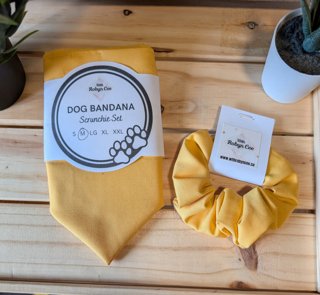 Yellow Tie Up Dog Bandana Set (Medium)