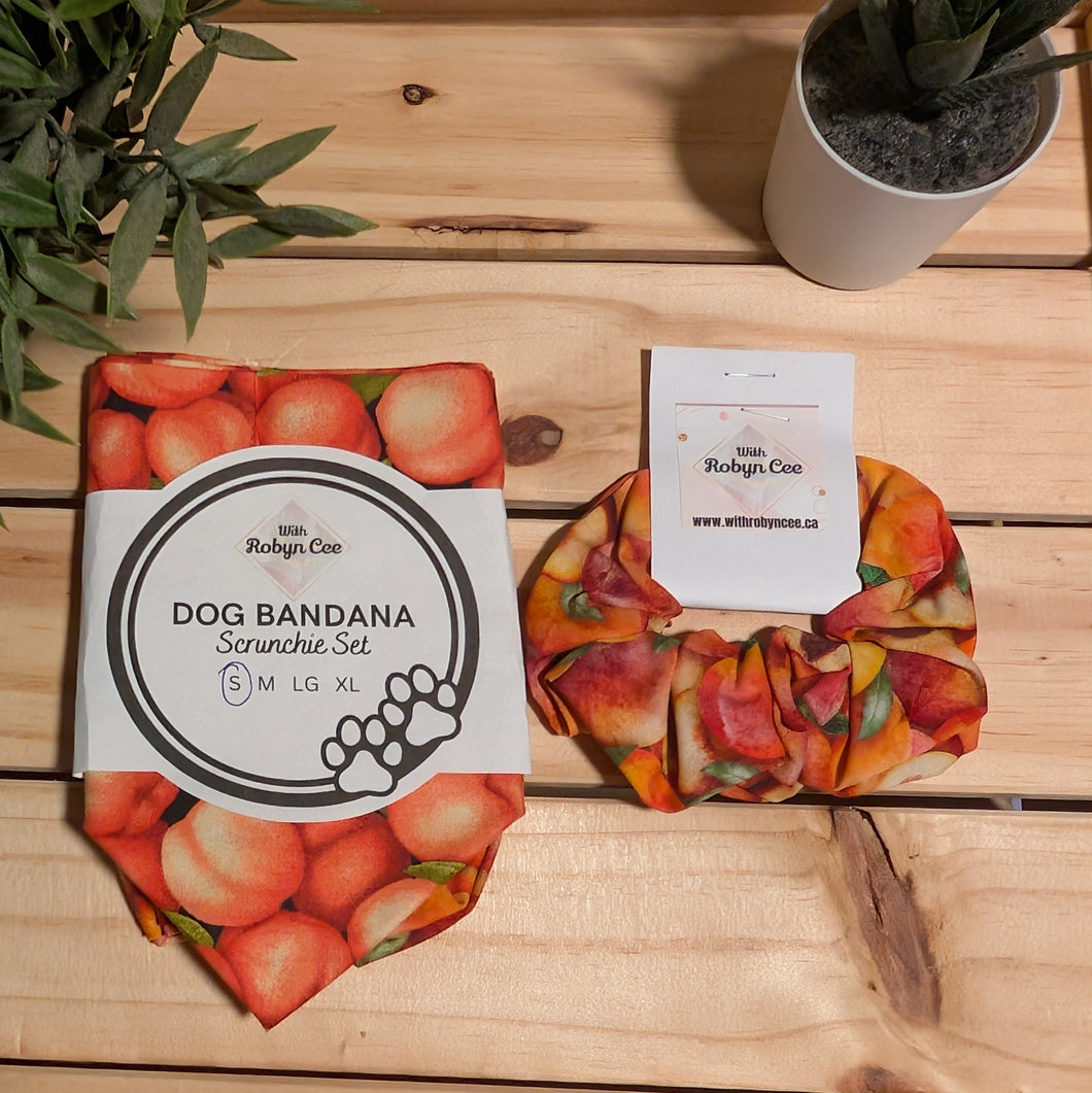 Peaches Tie Up Dog Bandana Set (Small)