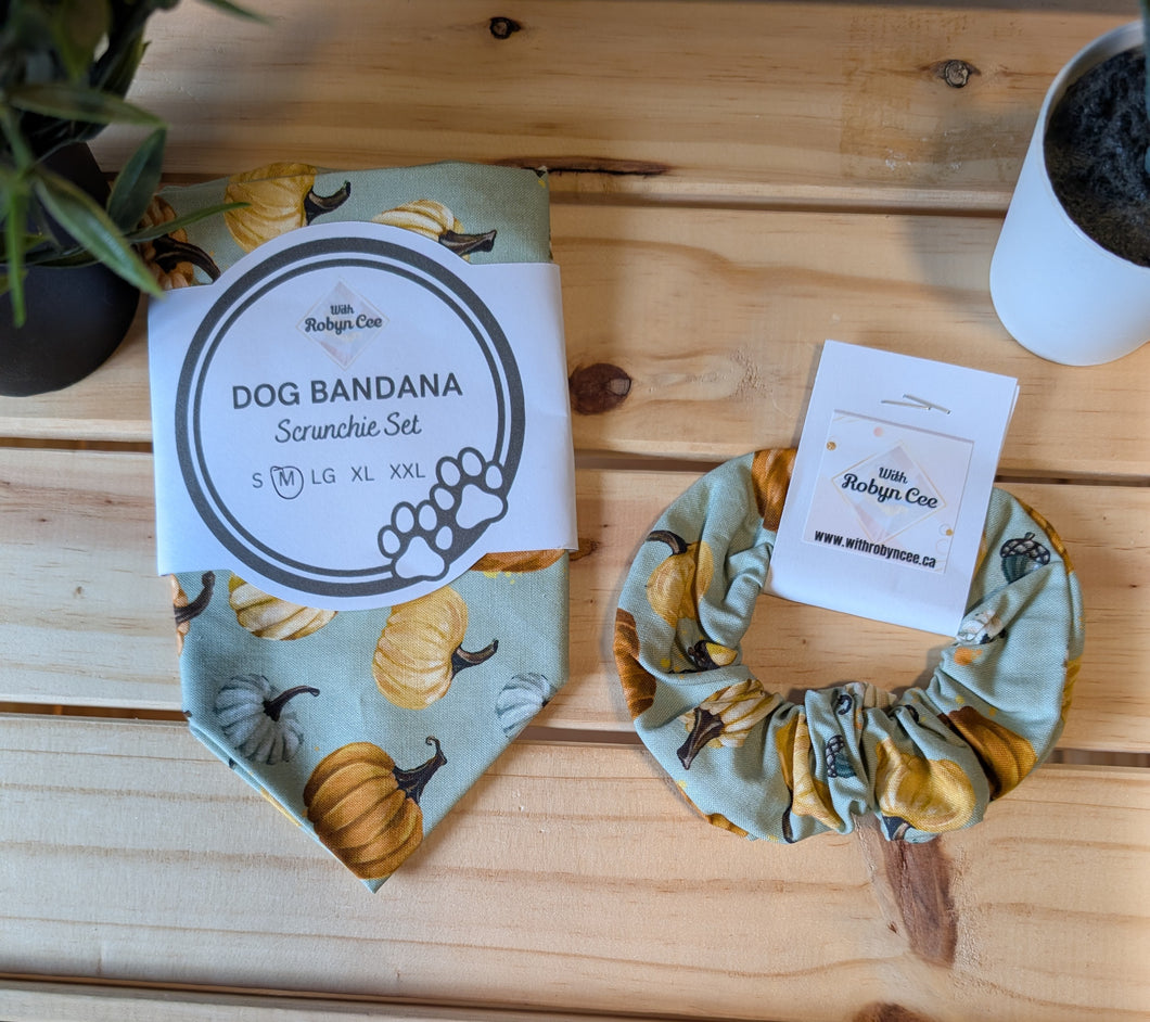 Mint Pumpkins Tie Up Dog Bandana Set (Medium)