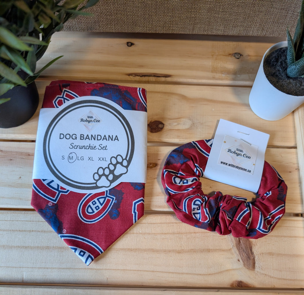 Hockey Tie Up Dog Bandana Set (Medium)